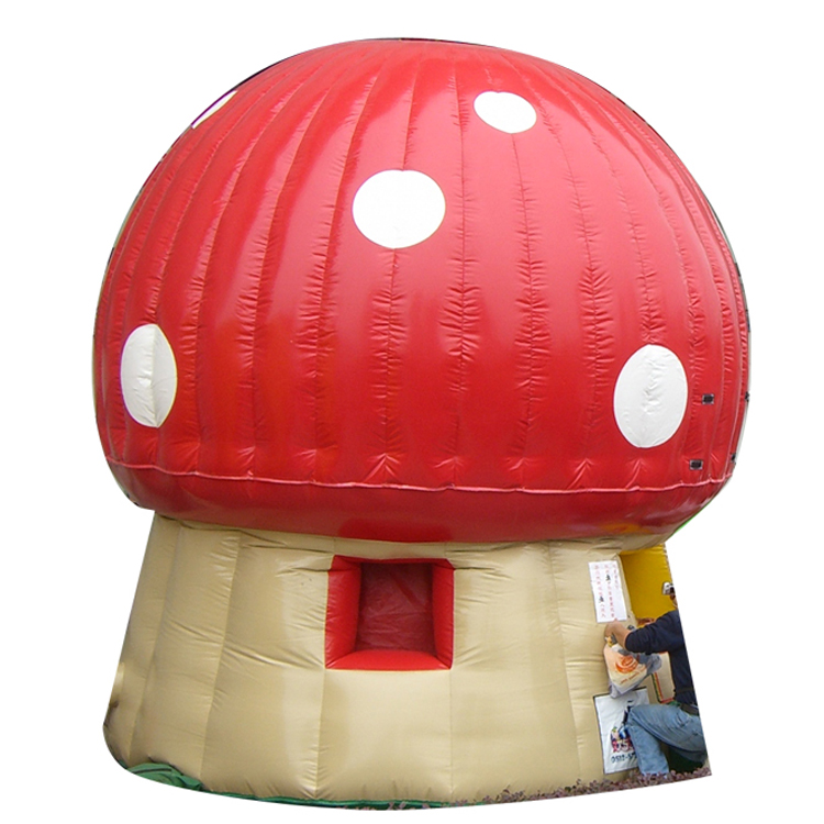 Inflatable Bounce FLBO-10003