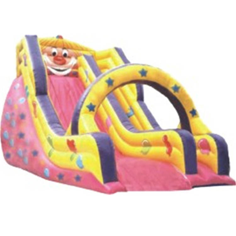 Inflatable Slides FLSL-A20017