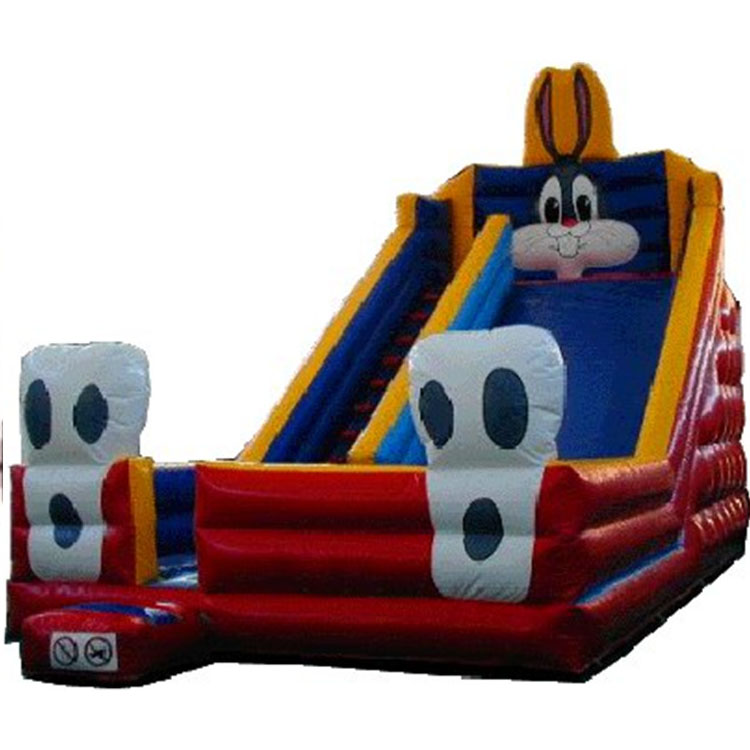 Inflatable Slides FLSL-A20035