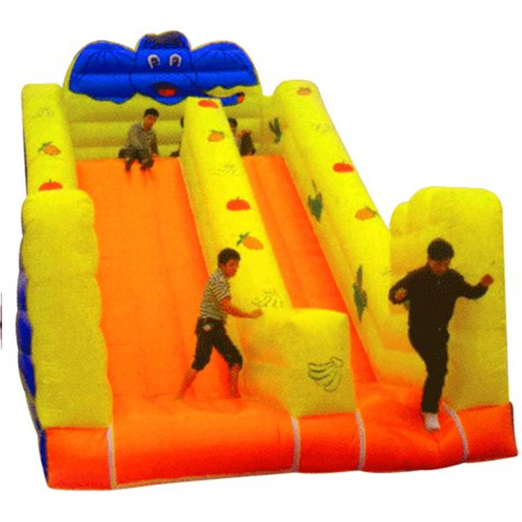 Inflatable Slides FLSL-A20041