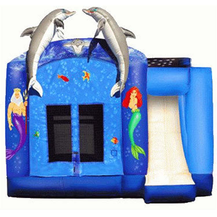 Inflatable Combos FLCO-10038